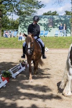 Bild 7 - Pony Akademie Turnier